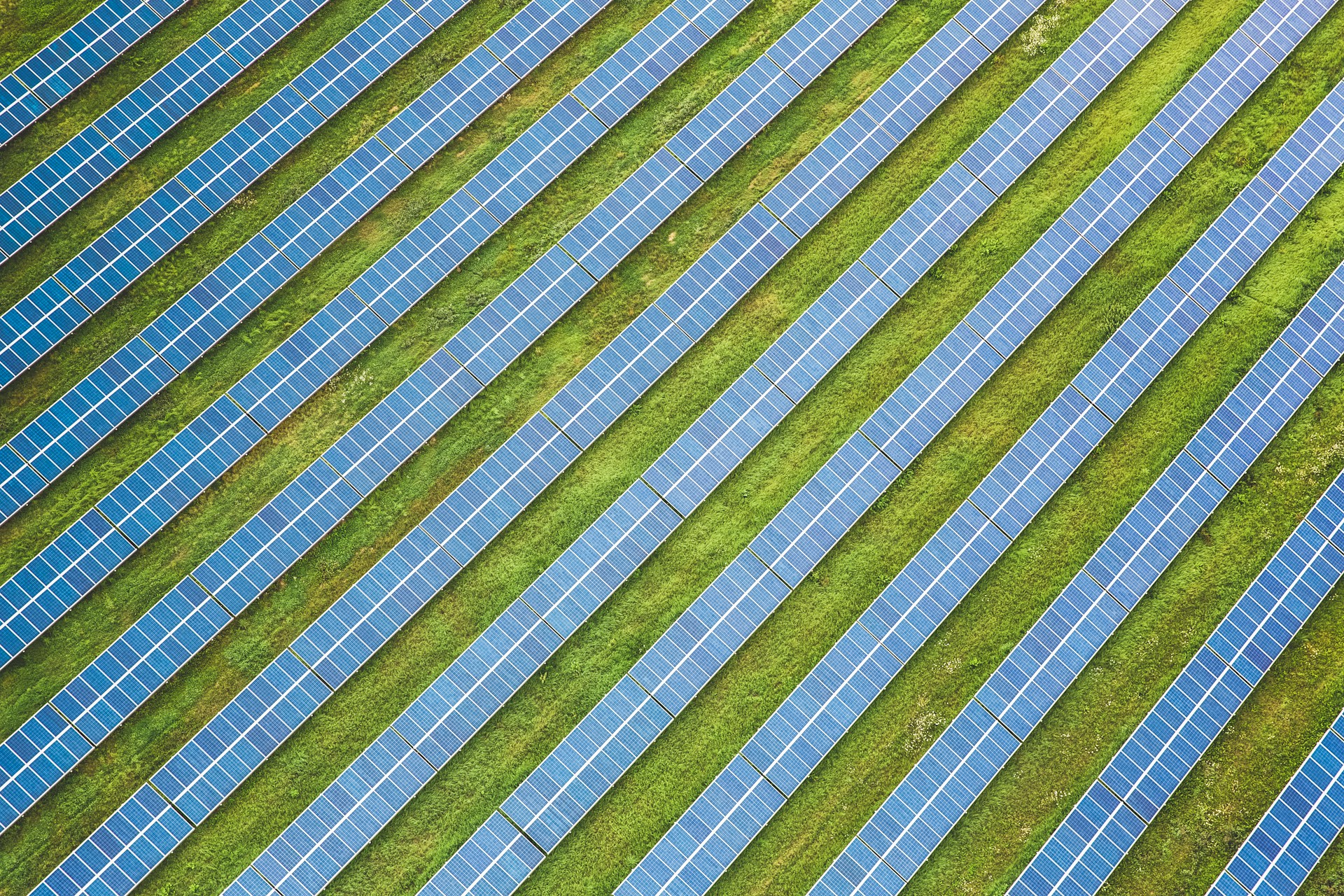 Markus spiske d7FbDJkJSFw unsplash